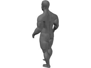 Body Builder 3D Model