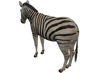 Zebra 3D Model