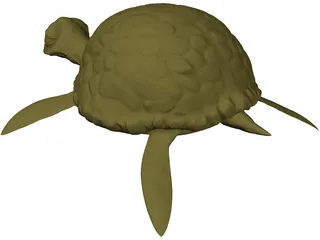 Cartoon Turtle 3D Model