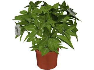 Plant 3D Model