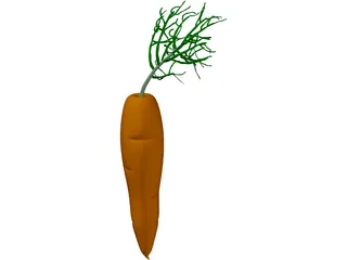 Carrot 3D Model