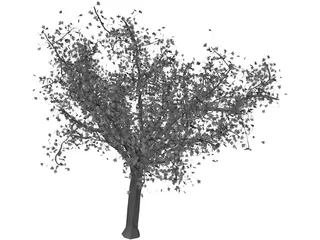 Tree 3D Model