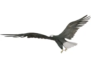 Eagle 3D Model