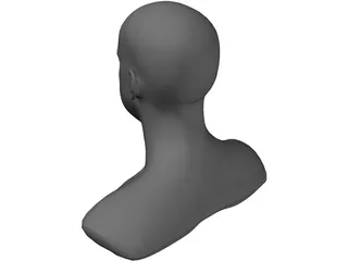 Head 3D Model