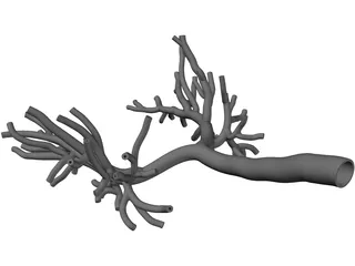 Bronchial Tree Human 3D Model