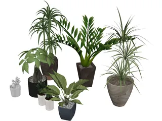 House Plant Collection 3D Model