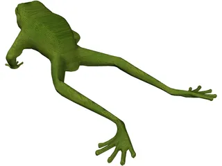 Frog 3D Model