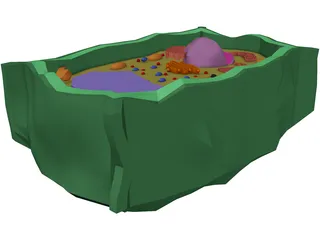 Plant Cell 3D Model