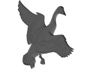 Canadian Goose 3D Model