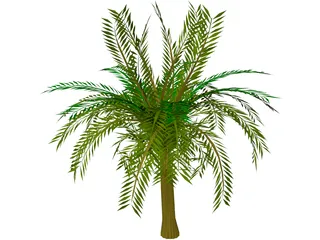 Palm Tree 3D Model