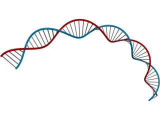 DNA 3D Model