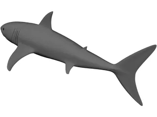 Shark White 3D Model