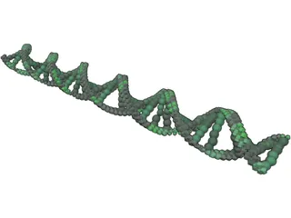 DNA 3D Model