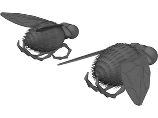 Fly 3D Model