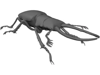 Stag Beetle 3D Model