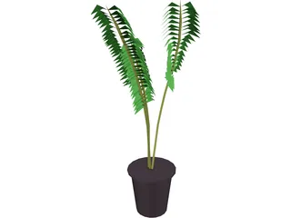 Potted Fern 3D Model