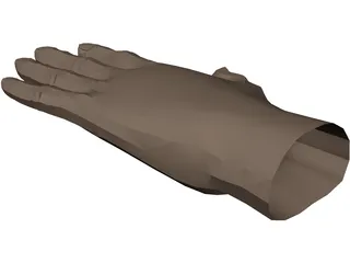 Hand 3D Model