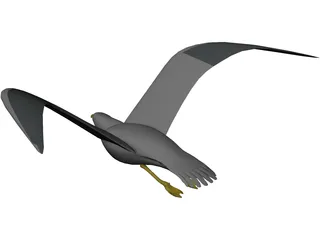 Seagull Flying 3D Model