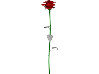 Rose 3D Model