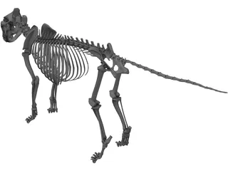Lion Skeleton 3D Model