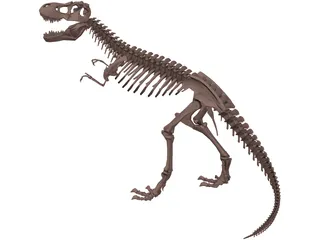 Dinosaur Skeleton 3D Model