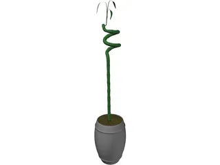 Bamboo 3D Model