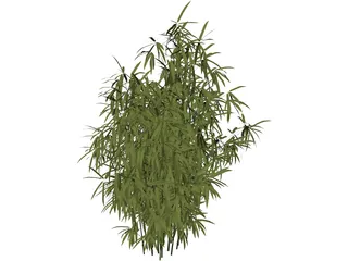 Bamboo Cluster Small 3D Model