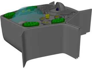 Plant Cell 3D Model