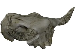 Cow Skull 3D Model