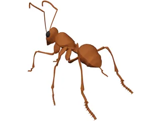 Ant 3D Model