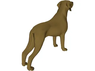 Dog Braco 3D Model