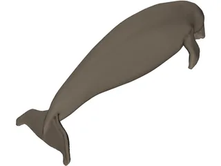 Dudongo 3D Model