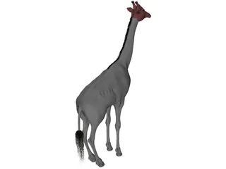 Giraffe 3D Model