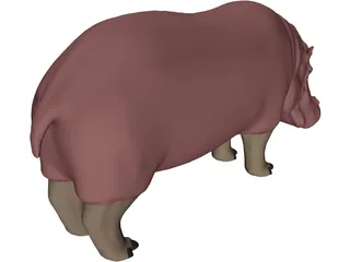 Hippopotamus 3D Model