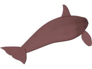 Whale Killer Female 3D Model