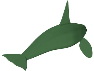 Whale Killer Male 3D Model