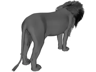 Lion 3D Model