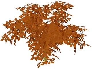 Cherry Tree 3D Model