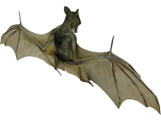 Bat 3D Model