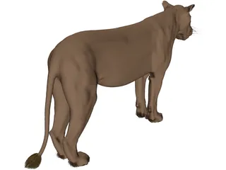 Lioness 3D Model