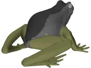 Frog 3D Model