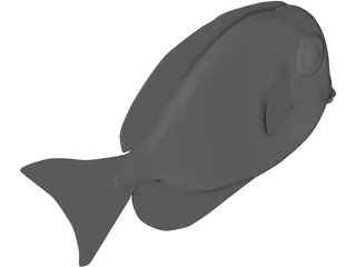 Amblyrhyncotes 3D Model