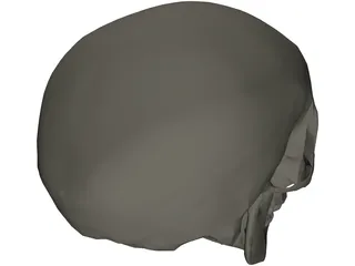 Skull 3D Model