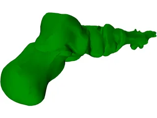 Foot Bone Female 3D Model