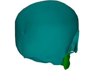 Skull Male 3D Model