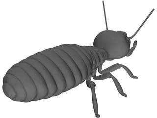 Termite 3D Model