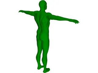 Swimmer 3D Model