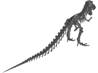 Tyrannosaurus Rex Skeleton 3D Model