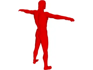 Man 3D Model