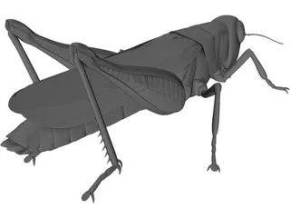 Grasshopper 3D Model